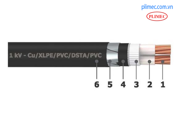 Cáp ngầm Cu/XLPE/PVC/DSTA/PVC-2x10sqm