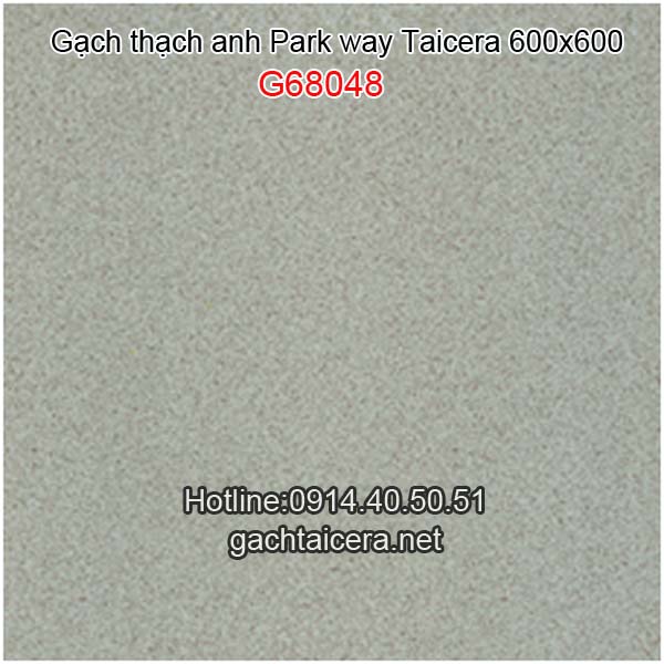 Gạch Taicera granite 60x60 G68048