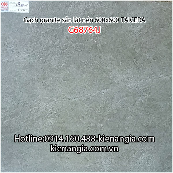 Gạch granite Taicera sần 60x60 G68764J