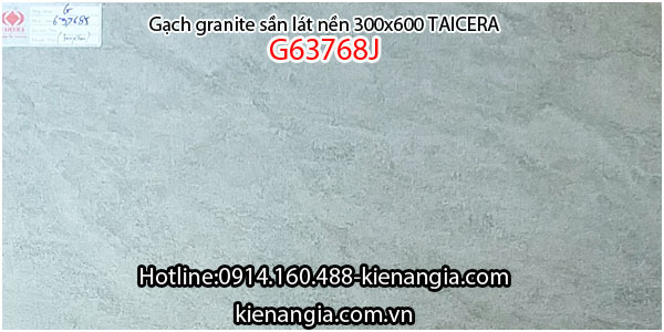 Gạch granite Taicera sần 30x60 G63768J