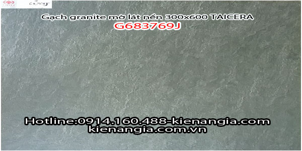 Gạch granite Taicera sần 30x60 G63769J