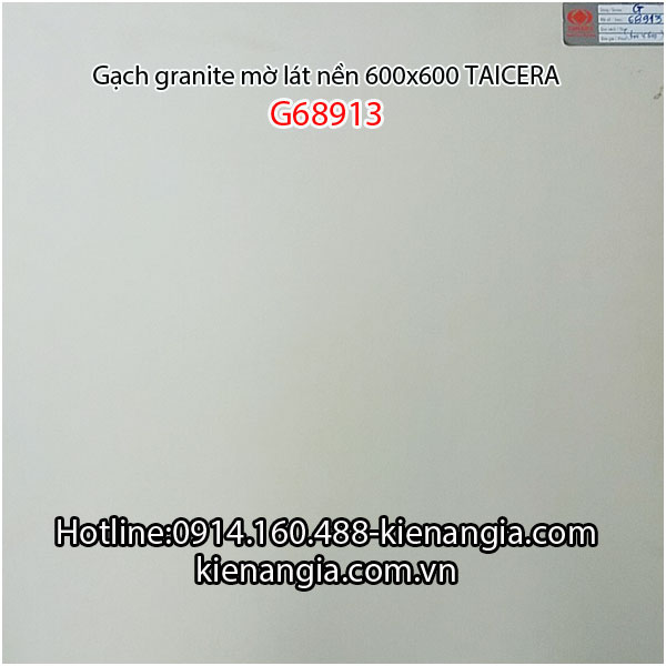 Gạch granite Taicera mờ 60x 60 G68913