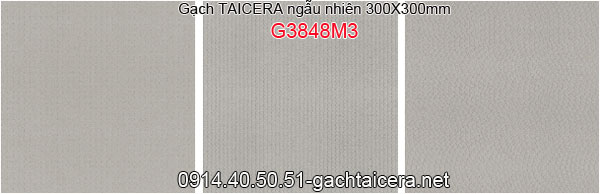 Gạch TAICERA 30x30 Taicera-G3848M3