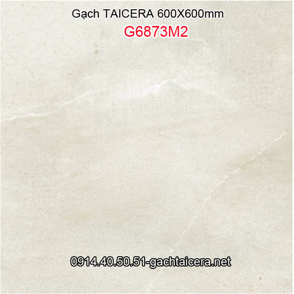 Gạch TAICERA 60x60 siêu đẹp,siêu bền Taicera-G6873M2