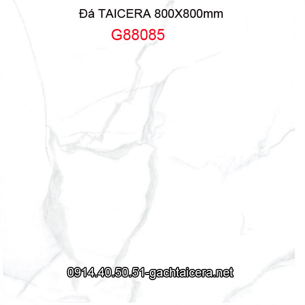 Đá 80x80 TAICERA-G88085