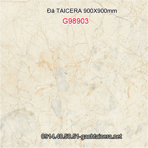 Đá granite TAICERA 900x900 siêu đẹp Taicera-G98903