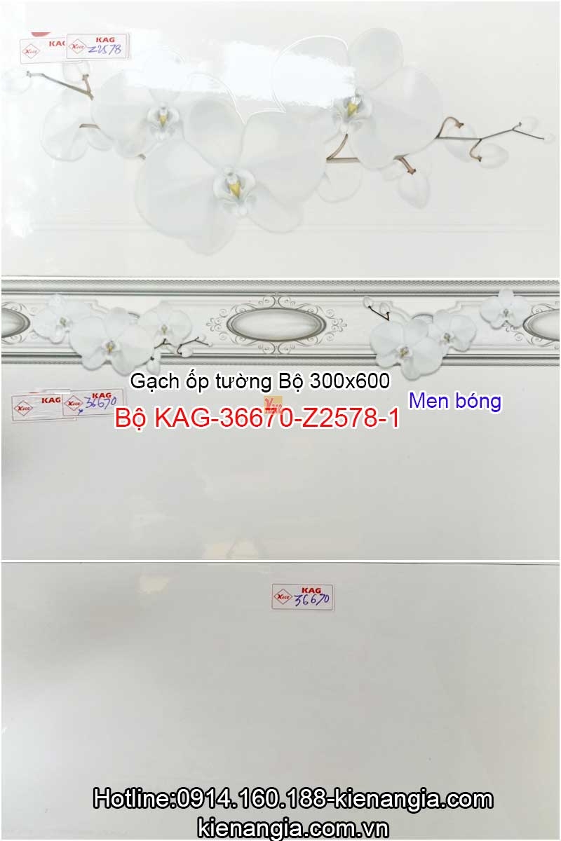 Gạch ốp tường phòng ngủ 30x60 Bộ KAG-36670-Z2578-1