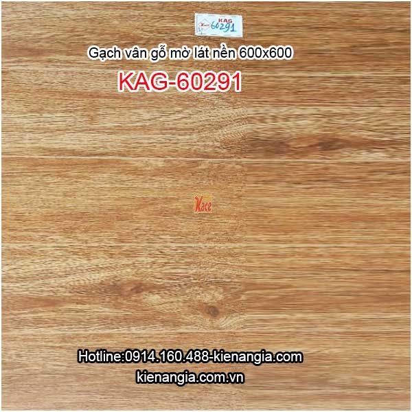 Gạch vân gỗ bóng lát nền 600x600 KAG-60291