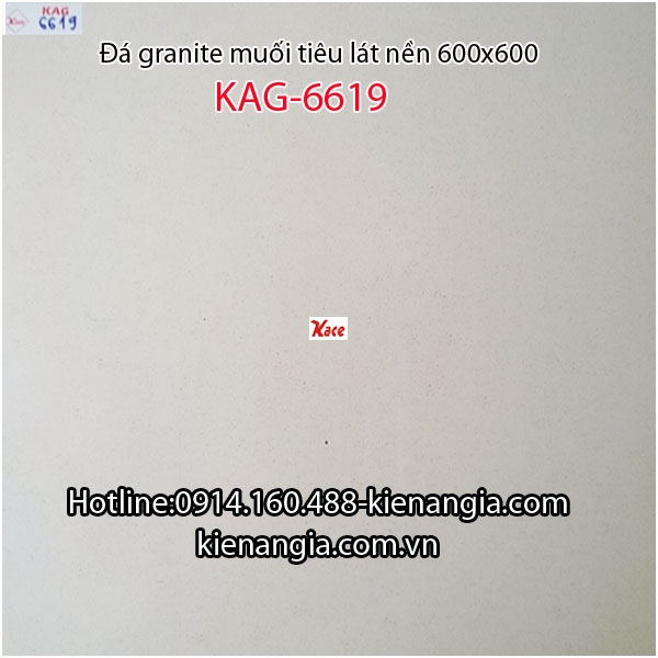 Gạch granite muối kem 60x60 KAG-6619