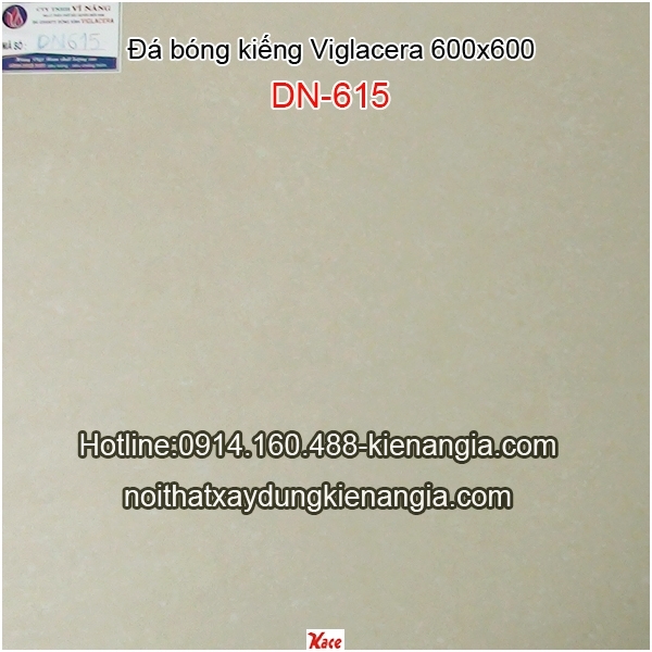 Đá bóng kiếng 600X600 Viglacera DN-615