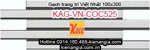 Gạch kiến trúc cao cấp Việt Nhật 100x300 KAG-VN-COC525