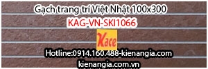 Gạch ngoại thất cao cấp Việt Nhật 100x300 KAG-VN-SKI1066