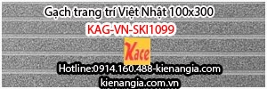 Gạch ngoại thất cao cấp Việt Nhật 100x300 KAG-VN-SKI1099