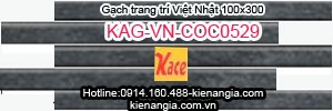 Gạch kiến trúc cao cấp Việt Nhật 100x300 KAG-VN-COC529