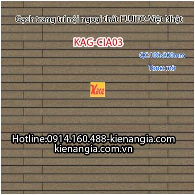 Gạch trang trí cao cấp mờ 100x300 FUJITO KAG-CIA03