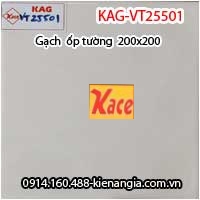 Gạch ốp tường 200x200 KAG-VT25501