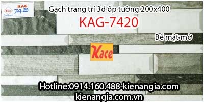 Gạch 3d mờ trang trí ốp tường 200x400 KAG-7420