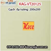 Gạch ốp tường 200x200 KAG-VT20125