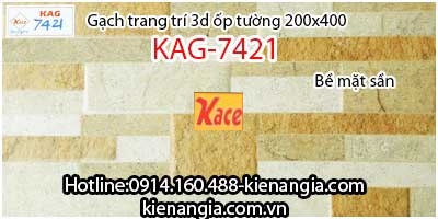 Gạch 3D bề mặt sần ốp tường trang trí 200x400 KAG-7421