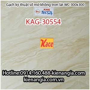Gạch kỹ thuật số mờ lát WC 30X30 KAG-30554