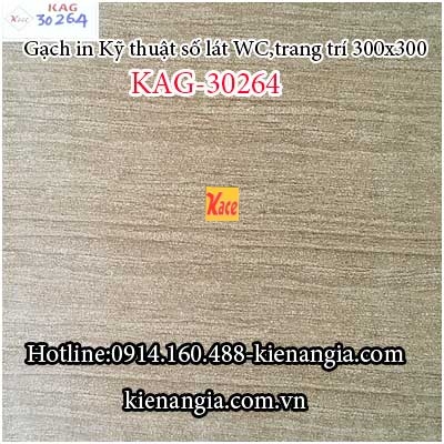 Gạch kỹ thuật số lát WC 30X30 KAG-30264