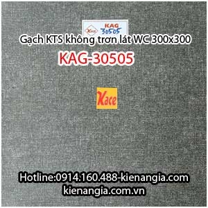 Gạch 300x300 lát WC kỹ thuật số KAG-30505