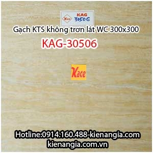 Gạch 300x300 lát WC kỹ thuật số KAG-30506