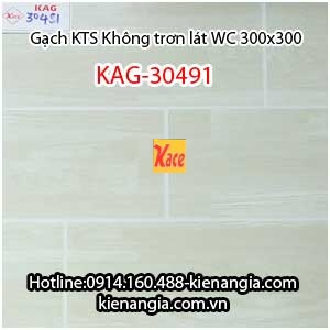 Gạch kỹ thuật số 3D không trơn lát WC 30X30 KAG-30491