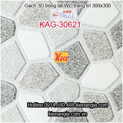 Gạch 3D bóng lát WC 300X300 KAG-30621
