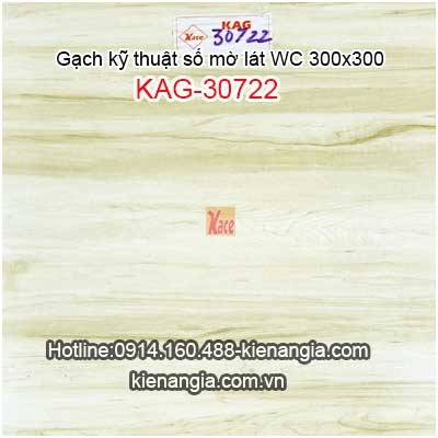 Gạch kỹ thuật số mờ 30x30 lát WC KAG-30722