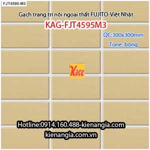 Gạch ốp tường ngoại thất 300x300 cao cấp FUJITO-KAG-FJT4595M3
