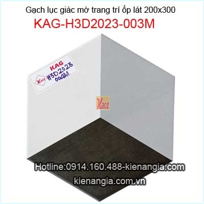 Gạch lục giác đen,xám,trắng trang trí KAG-H3D2023-004M