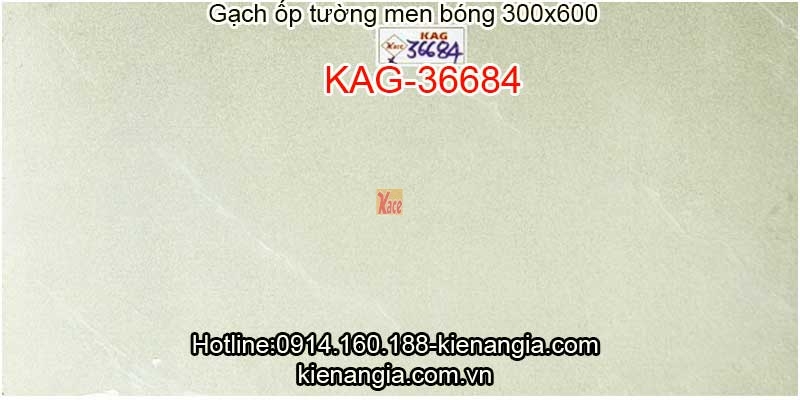 Gạch ốp tường 30x60 KAG-36684