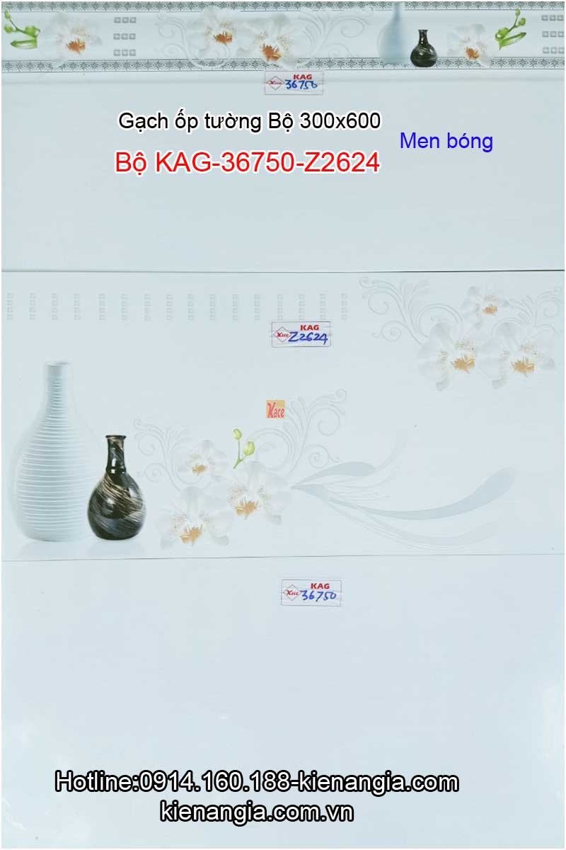 Gạch ốp tường phòng tắm 30x60 Bộ KAG-36750-Z2624