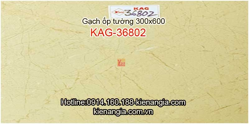 Gạch ốp tường vân đá 30x60 KAG-36802