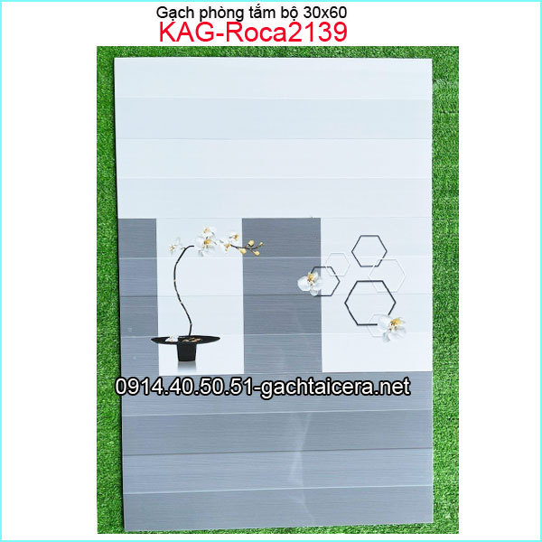 Gạch ốp tường bộ 30x60cm KAG-Roca2139