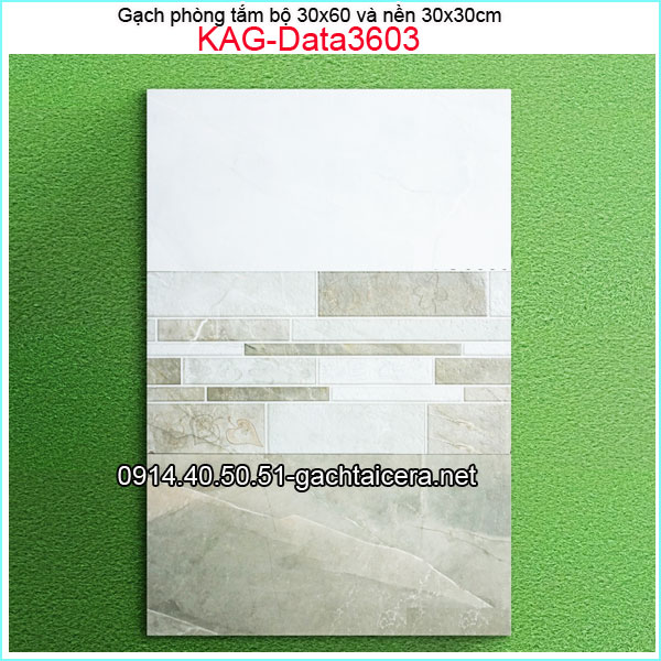 Gạch ốp tường 30x60 bộ đậm nhạt điểm KAG-Data3603
