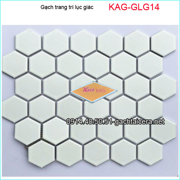 Gạch trang trí lục giác -KAG-GLG14