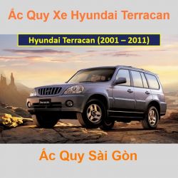 Bình ắc quy xe ô tô Hyundai Terracan (2001 - 2011)