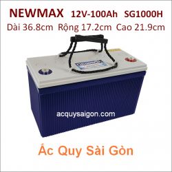 Ắc quy công nghiệp Newmax-12V/100Ah SG1000H