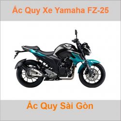 Ắc quy xe mô tô Yamaha FZ-25
