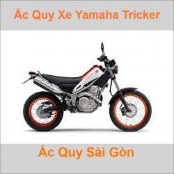 Ắc quy xe mô tô Yamaha Tricker 250