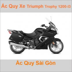 Ắc quy xe mô tô Triumph Trophy-1200-I3