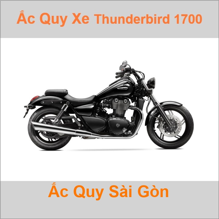 Bình ắc quy cho xe moto Triumph Thunderbird 1700 1699cc có công suất tầm 18Ah (10h) với các mã bình ắc quy phổ biến như YTX20L-BS, YT20-4 