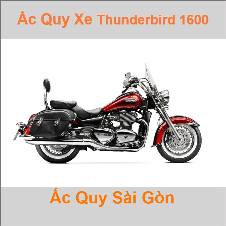 Bình ắc quy cho xe moto Triumph Thunderbird 1600 1597cc có công suất tầm 18Ah (10h) với các mã bình ắc quy phổ biến như YTX20L-BS, YT20-4 