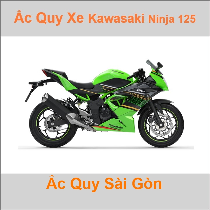 Ắc quy xe mô tô Kawasaki Ninja 125 ('18 - nay)