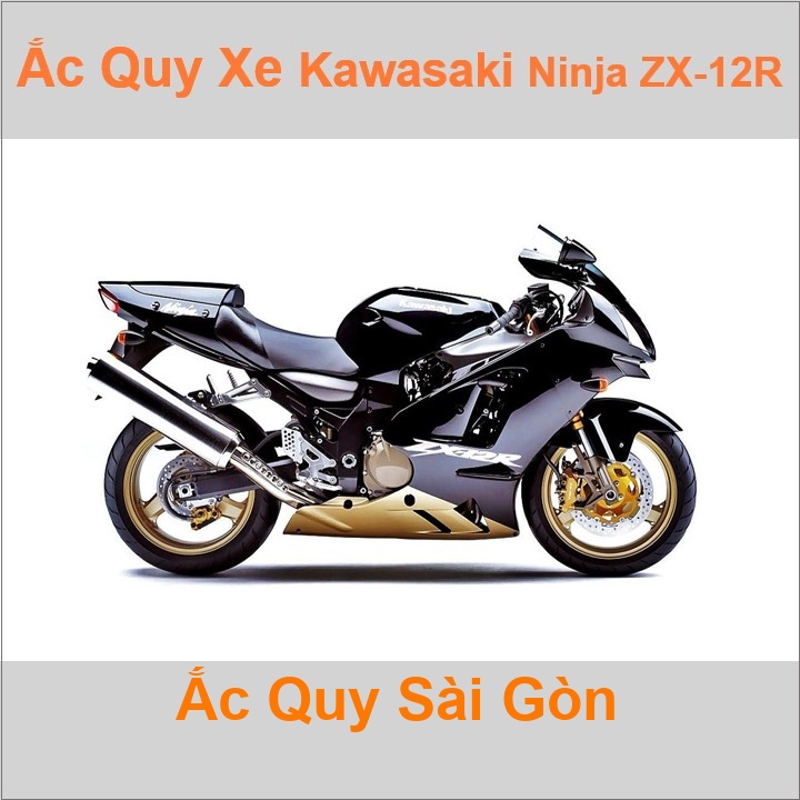 Ắc quy xe mô tô Kawasaki Ninja ZX12R ('00 - '06)