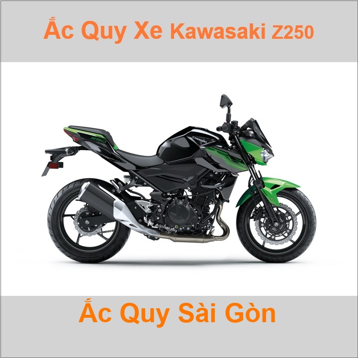 Bình ắc quy cho xe moto Kawasaki Z-250 Twin 249cc có công suất tầm 8Ah, 9Ah (10h) với các mã bình ắc quy phổ biến như YTX9-BS 