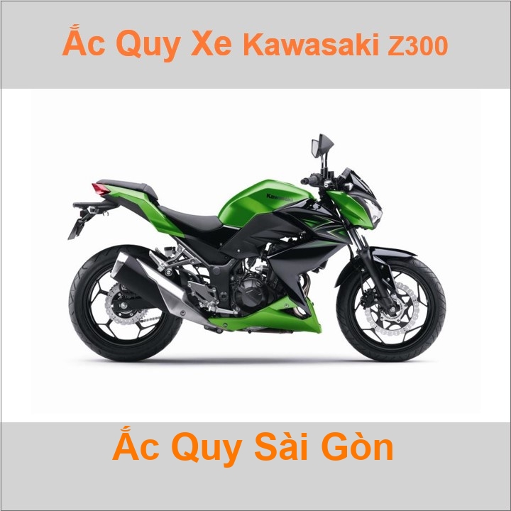 Bình ắc quy cho xe moto Kawasaki Z-300 296cc có công suất tầm 8Ah, 9Ah (10h) với các mã bình ắc quy phổ biến như YTX9-BS