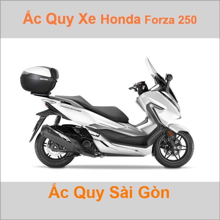 Bình acquy moto cho xe tay ga Honda Forza 250 / 300 / 350 / 750 có công suất tầm 11.2Ah (10h) với các mã bình ắc quy phổ biến như TTZ14S, YTZ12S Bình ắc quy xe mô tô phân khối lớn scooter NSS series có kích thước khoảng Dài 15cm * Rộng 8.7cm * Cao 11cm chất lượng tốt với giá rẻ, cạnh tranh nhất